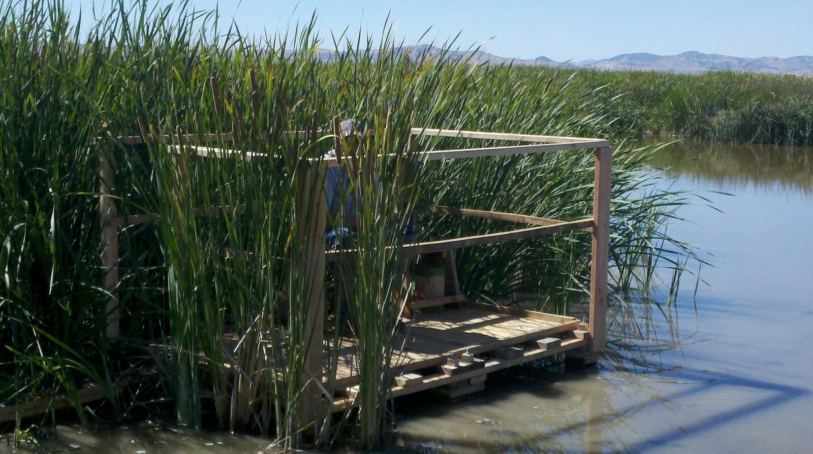 Jay: Duck Blind Building Plans How to Building Plans